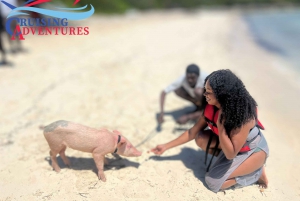Nassau: Self-Drive Speedboat Ride and Pig Swimming Encounter