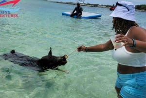 Nassau : Promenade en hors-bord et rencontre avec des cochons à la nage