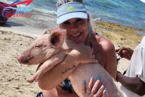 Nassau : Promenade en hors-bord et rencontre avec des cochons à la nage