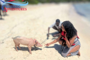 Nassau: Przejażdżka łodzią motorową z własnym napędem i pływanie ze świnią