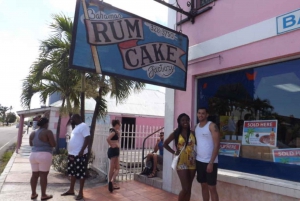 Nassau: sightseeing-, snorkel- en winkeltour met pick-up