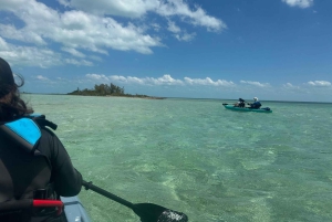 Nassau : Aventure Snorkeling et Kayak, transfert inclus