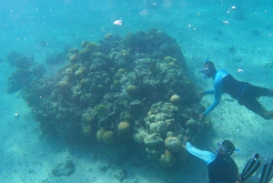 Nassau : Aventure Snorkeling et Kayak, transfert inclus