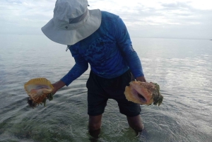 Nassau : Aventure Snorkeling et Kayak, transfert inclus