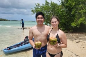 ナッソー：シュノーケリングとカヤックのアドベンチャー（移動サービス込み）をお楽しみください