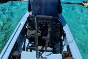 ナッソー：シュノーケリングとカヤックのアドベンチャー（移動サービス込み）をお楽しみください