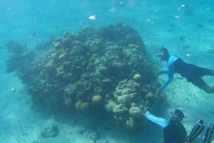 ナッソー：シュノーケリングとカヤックのアドベンチャー（移動サービス込み）をお楽しみください