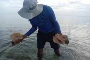 ナッソー：シュノーケリングとカヤックのアドベンチャー（移動サービス込み）をお楽しみください