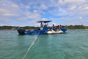 Нассау: подводное плавание, плавание свиней, черепах и пляжный бар