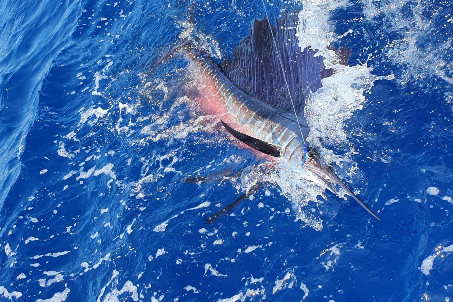 Nassau : Pêche sportive en charter privé .