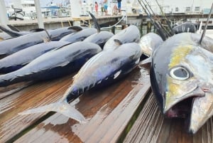 Nassau: Charter privado de pesca deportiva .