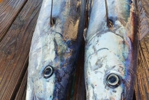 Nassau: Sportfischen Privat-Charter.