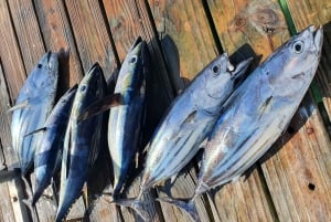 Nassau: privécharter voor sportvissen.