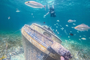 Nassau: Sun Cay Day Trip, Snorkel, Iguana Encounter, & Lunch