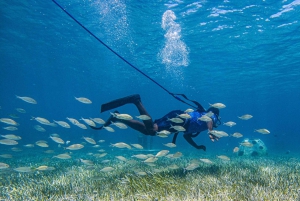 Nassau: SNUBA Diving Island Cruise with Bahamian Lunch