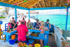 Nassau: SunCay SNUBA Diving Adventure with Lunch