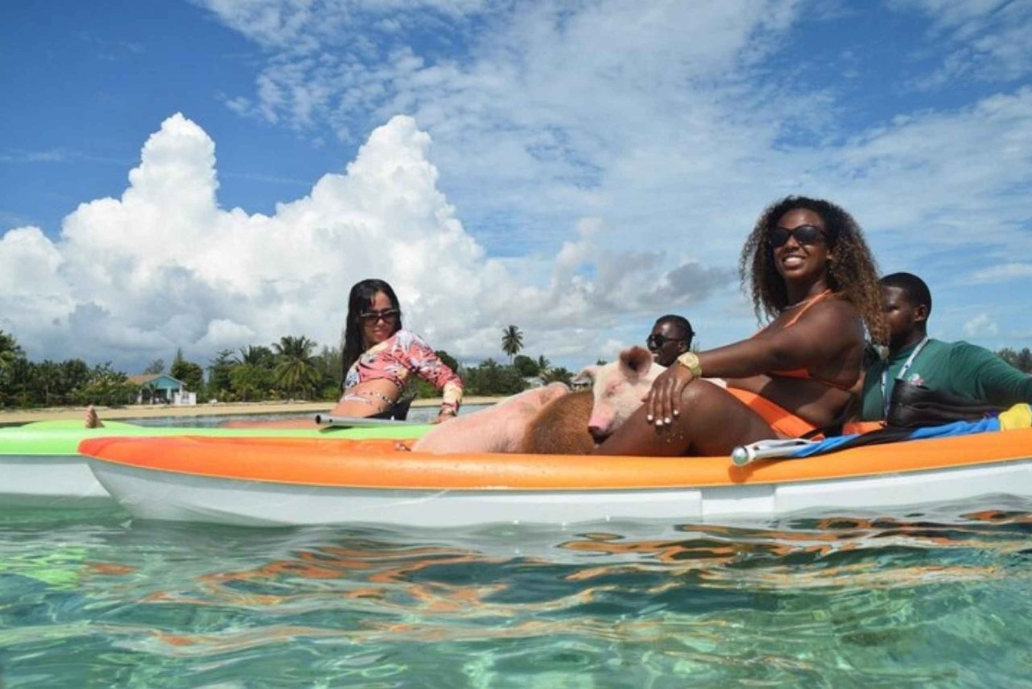 Nassau: Swim with Pigs & Scenic Boat Ride