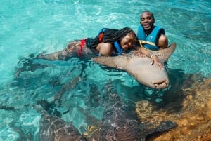 Нассау: плавание с акулами, тур по плаванию свиней