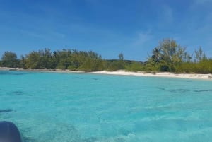 Nassau: Schwimmen mit Haien, Schwimmen mit Schweinen Tour