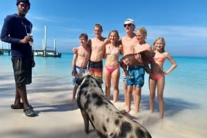 Nassau: Svøm med hajer, Svømmende grise Tour
