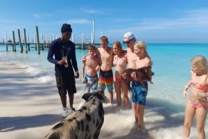 Nassau: Simma med hajar, simma med grisar Tour