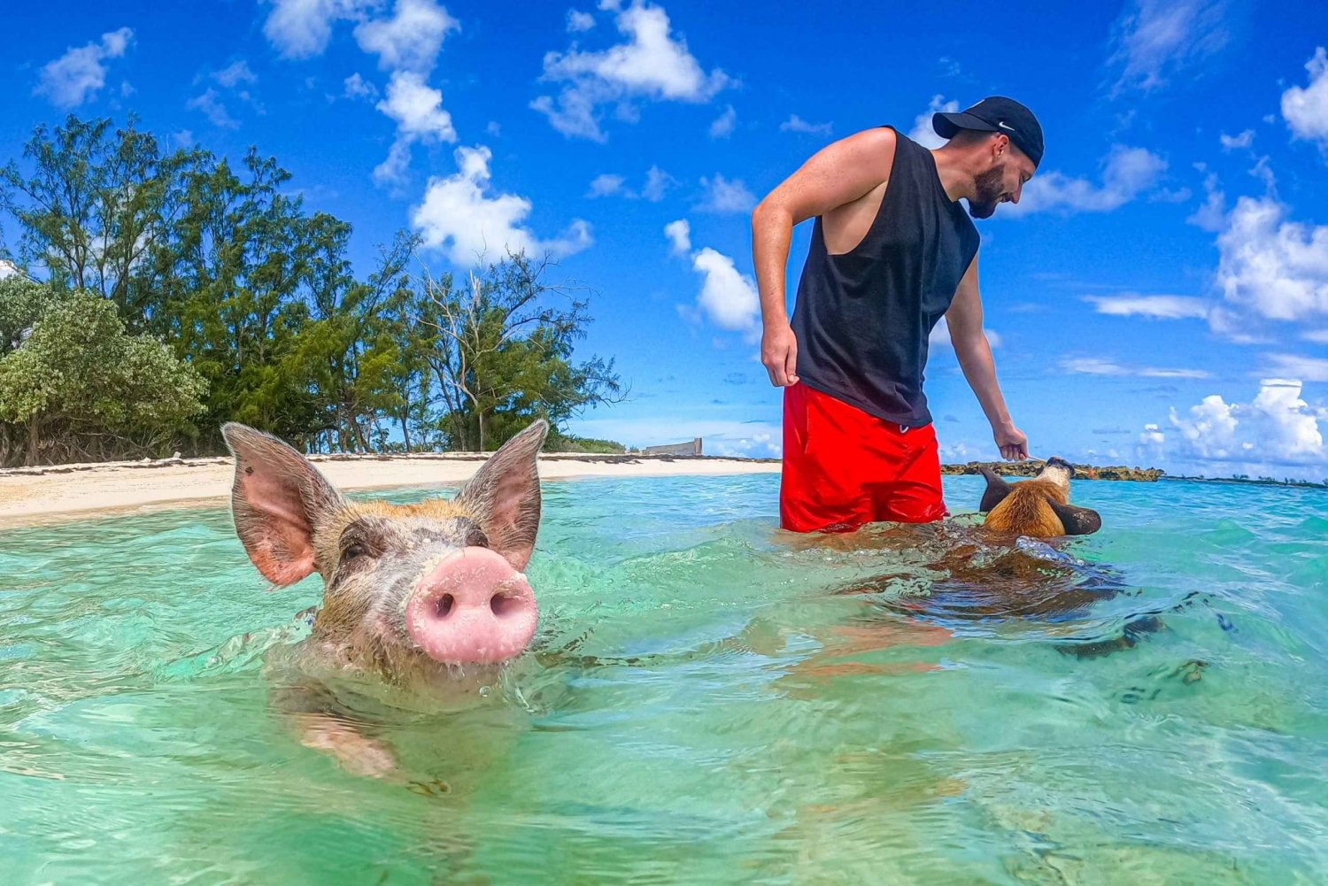 Nassau : Excursion en bateau à Sun Cay et Swimming Pigs avec déjeuner