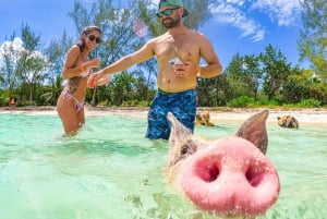 Nassau: Sun Cay and Swimming Pigs Boat Trip with Lunch