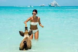 Nassau: Swimming Pigs and Snorkeling Boat Tour with Drinks