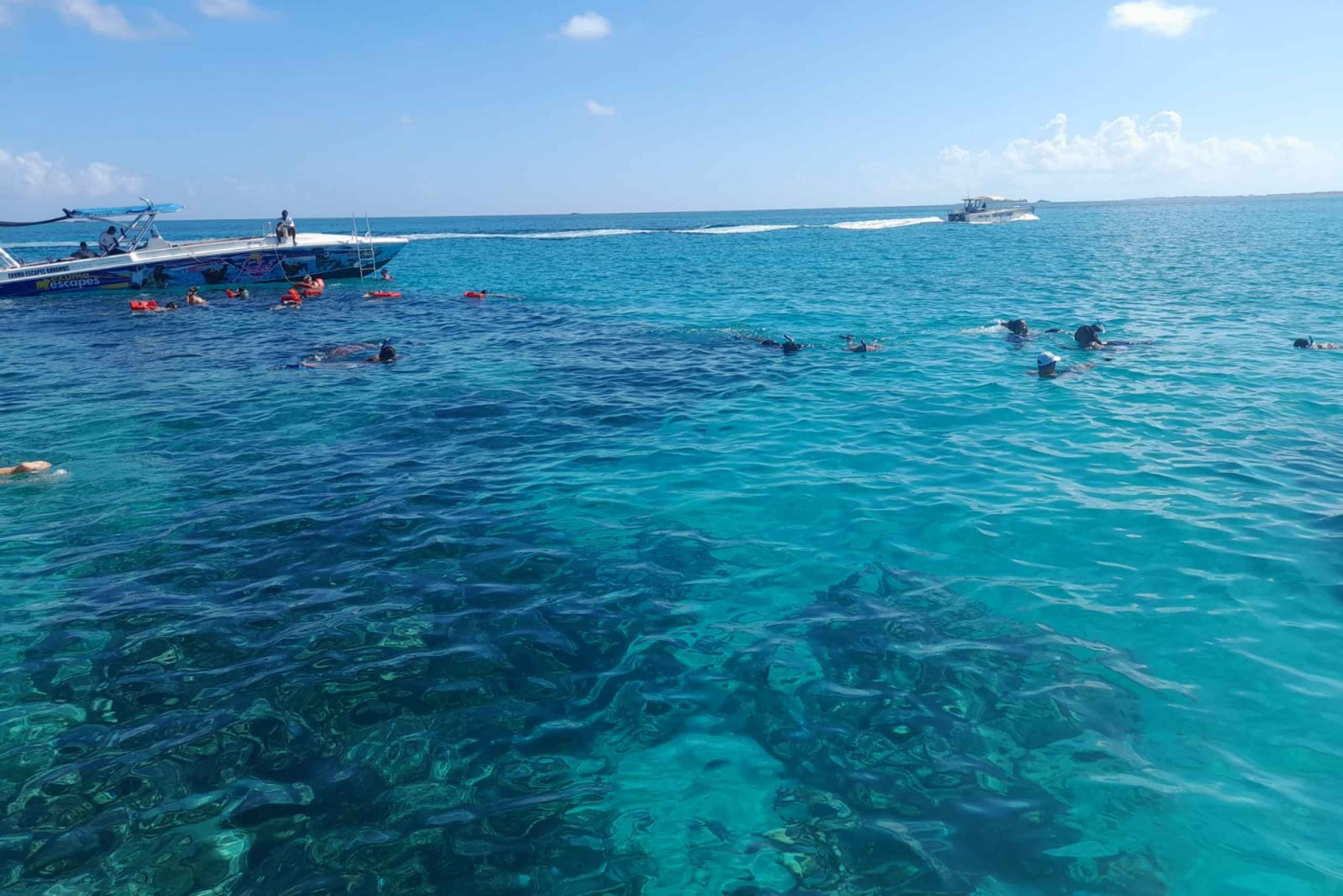 Nassau: Swimming Pigs Private Boat Tour - Up to 7 Persons