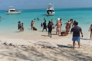 Nassau: Swimming Pigs Yksityinen venekierros - Enintään 7 henkilöä.