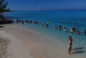Nassau: Privat båttur med svømmende griser - opptil 7 personer