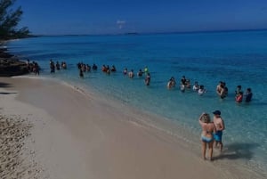 Nassau : Visite privée en bateau des cochons nageurs - jusqu'à 7 personnes