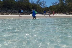 Nassau: Schwimmende Schweine Private Bootstour - bis zu 7 Personen