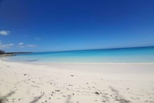Nassau: Schwimmende Schweine Private Bootstour - bis zu 7 Personen