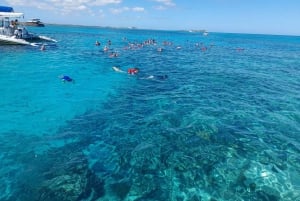 Nassau: Schwimmende Schweine Private Bootstour - bis zu 7 Personen