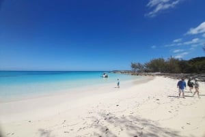 Nassau: Schwimmende Schweine Private Bootstour - bis zu 7 Personen