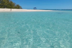 Nassau: Schwimmende Schweine Private Bootstour - bis zu 7 Personen