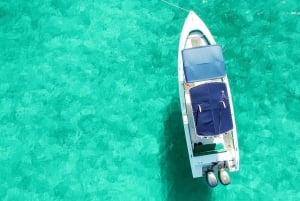 Nassau: Schwimmende Schweine Private Bootstour - bis zu 7 Personen