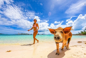 Nassau: Swimming Pigs, Snorkeling and Beach Boat Tour