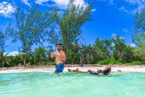 Nassau: Swimming Pigs, Snorkeling and Beach Boat Tour