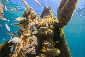 Nassau: Swimming Pigs, Snorkeling and Beach Boat Tour