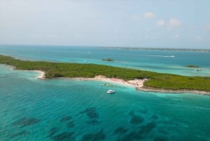 Nassau: Swimming Pigs, Snorkeling and Beach Boat Tour