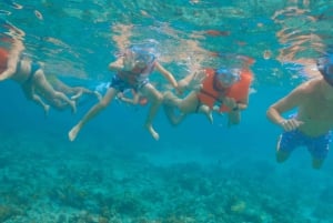 Nassau: Swimming Pigs, Snorkeling and Beach Boat Tour