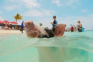 Nassau: Swimming Pigs, Snorkeling and Beach Boat Tour