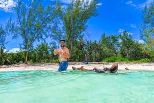 Nassau: Swimming Pigs, Snorkeling and Beach Speedboat Tour