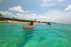 Nassau : cochons nageurs, plongée avec tuba, déjeuner et tour en bateau sur la plage