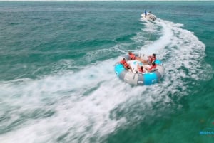 Nassau : cochons nageurs, plongée avec tuba, déjeuner et tour en bateau sur la plage