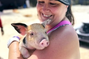 Nassau : cochons nageurs, plongée avec tuba, déjeuner et tour en bateau sur la plage