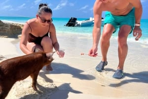 Nassau: Porcos nadadores, mergulho com snorkel e tartarugas Almoço no Beach Club