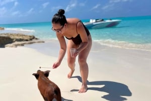 Nassau: Schwimmen mit Schweinen, Schnorcheln mit Schildkröten Mittagessen Beach Club
